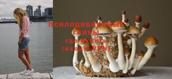 mdma Майский